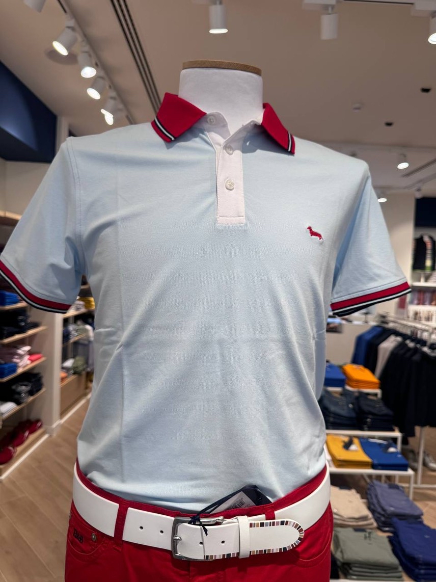 HARMONT & BLAINE T-shirt and Polo front view - Men's luxury Clothes