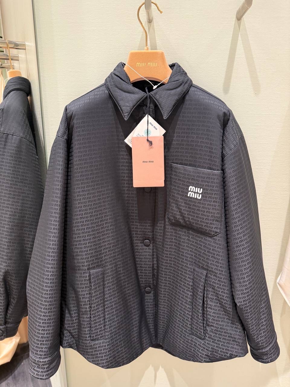 MIU MIU Down jacket front view - Women luxury Clothes