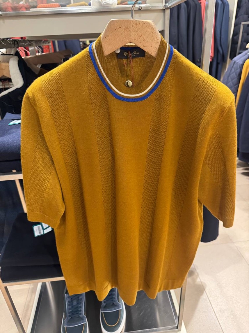 LORO PIANA T-shirt and Polo front view - Men's luxury Clothes