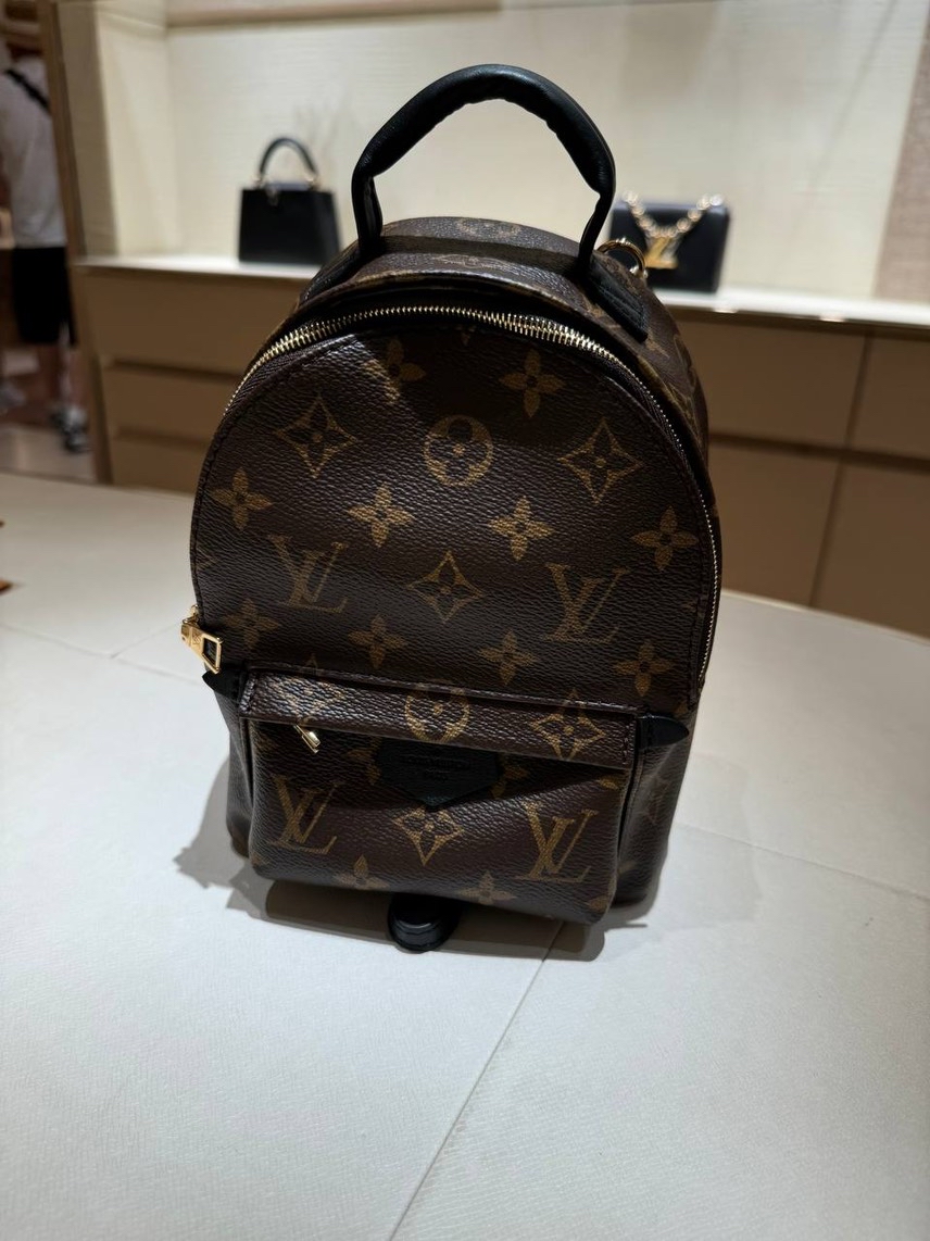 LOUIS VUITTON Backpack front view - Women's luxury Bags