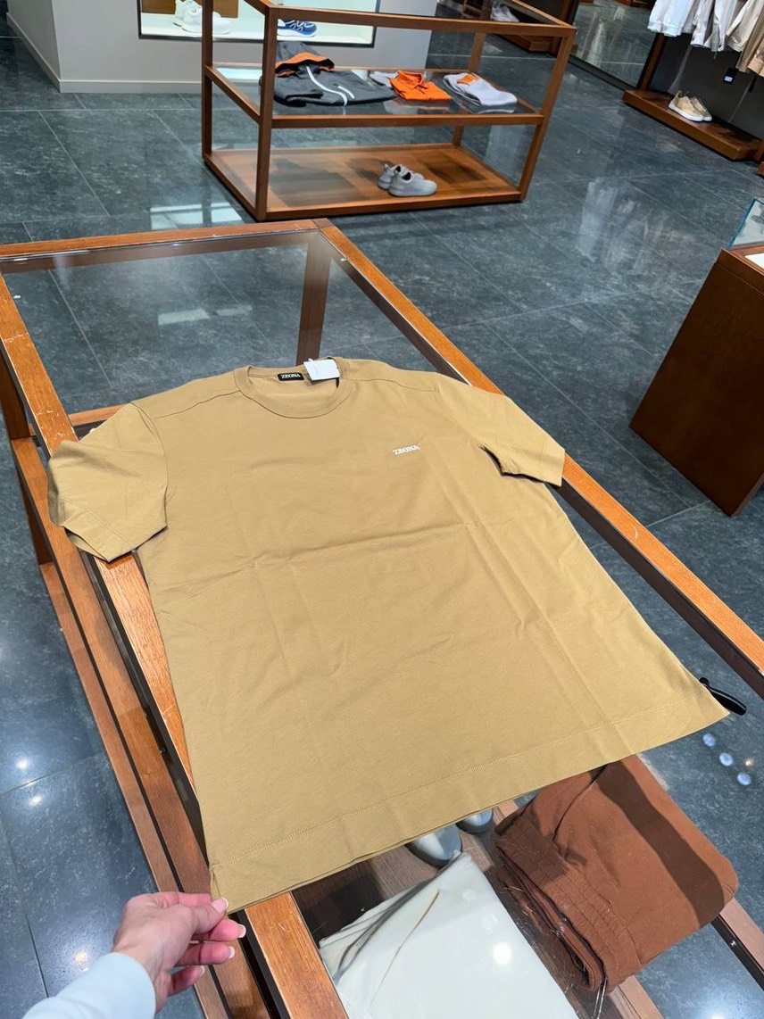 ERMENEGILDO ZEGNA T-shirt and Polo front view - Men's luxury Clothes
