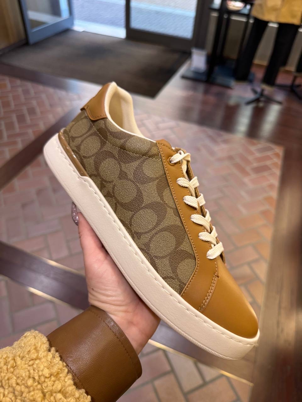 COACH Sneakers front view - Men's luxury Shoes