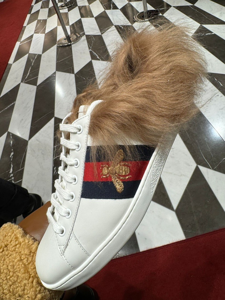 GUCCI Sneakers front view - unisex luxury Shoes