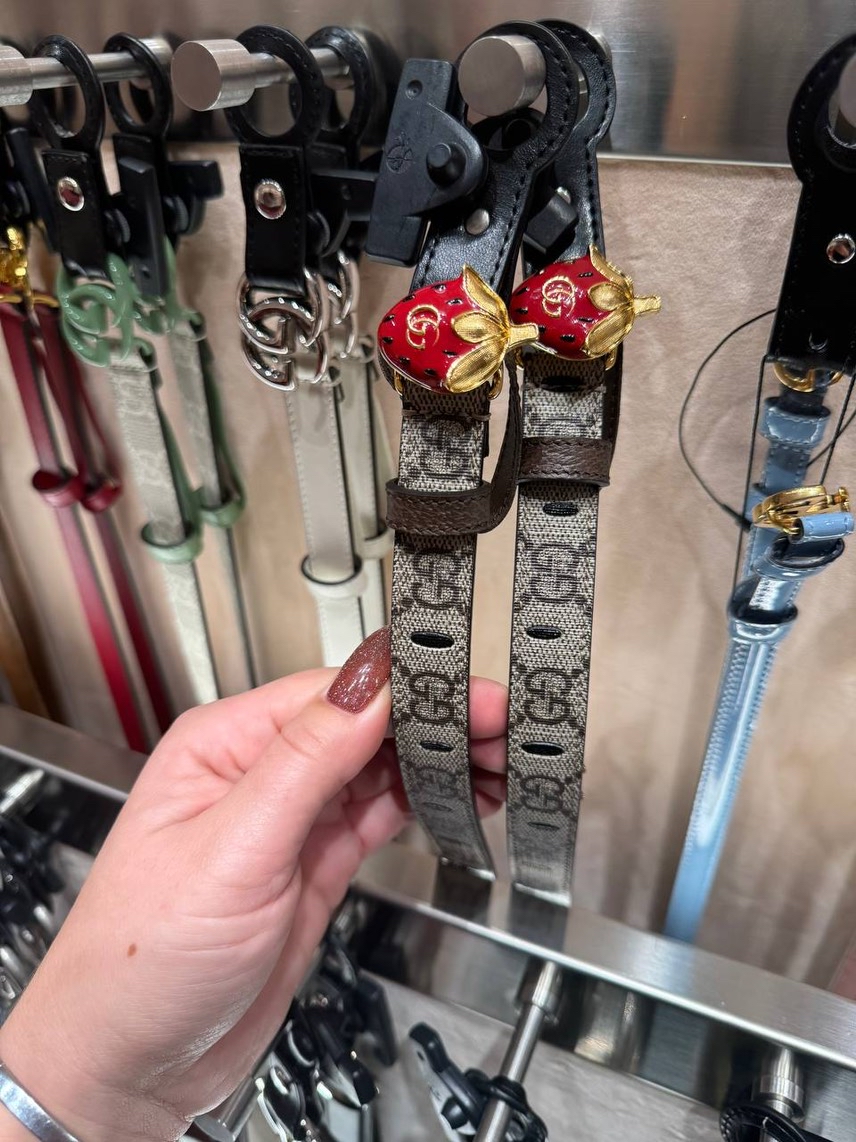 GUCCI Belts front view - Women's luxury Accessories